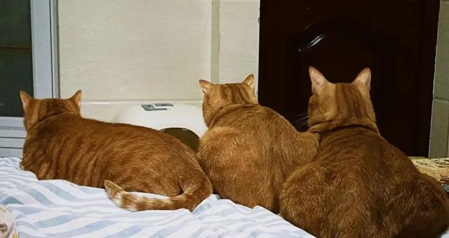 10天赚好几千！杭州白领过年不回家，每天跑几十公里搞副业！