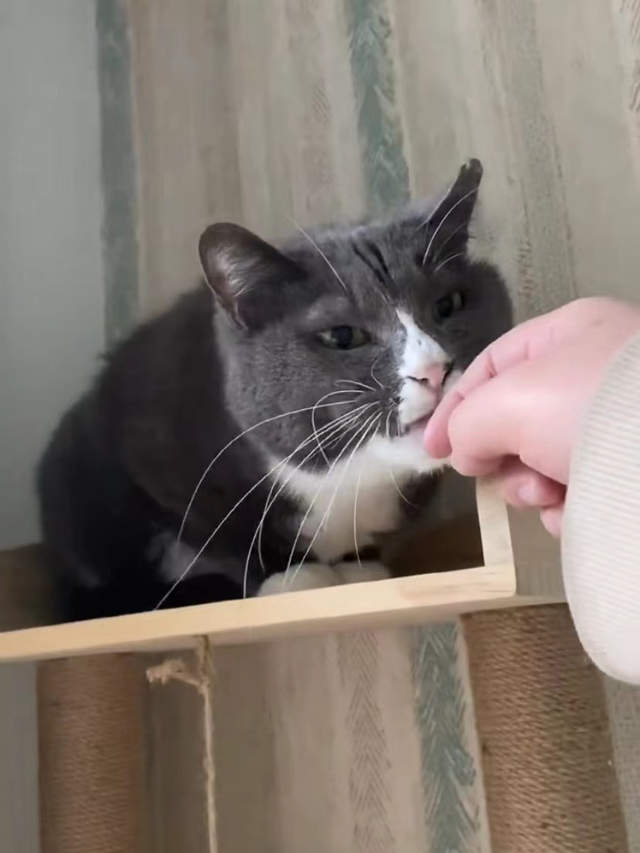 10天赚好几千！杭州白领过年不回家，每天跑几十公里搞副业！