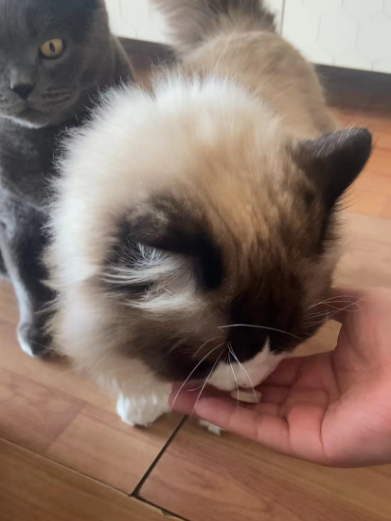 10天赚好几千！杭州白领过年不回家，每天跑几十公里搞副业！