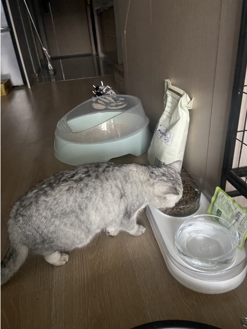 10天赚好几千！杭州白领过年不回家，每天跑几十公里搞副业！