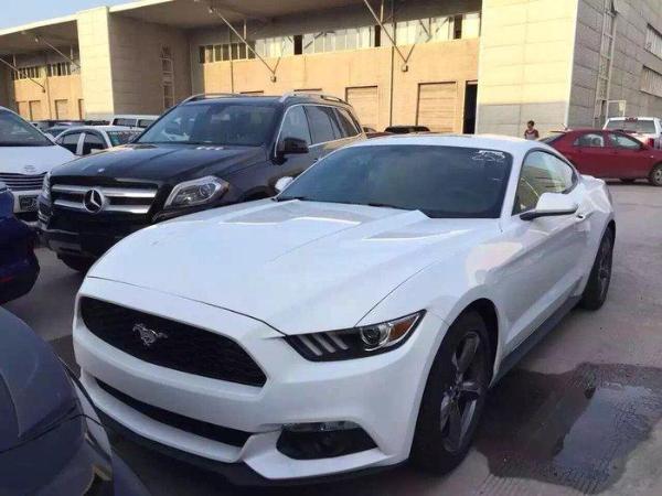 {六合彩}(二手野马值不值得购买) {六合彩}(二手野马值不值得购买)