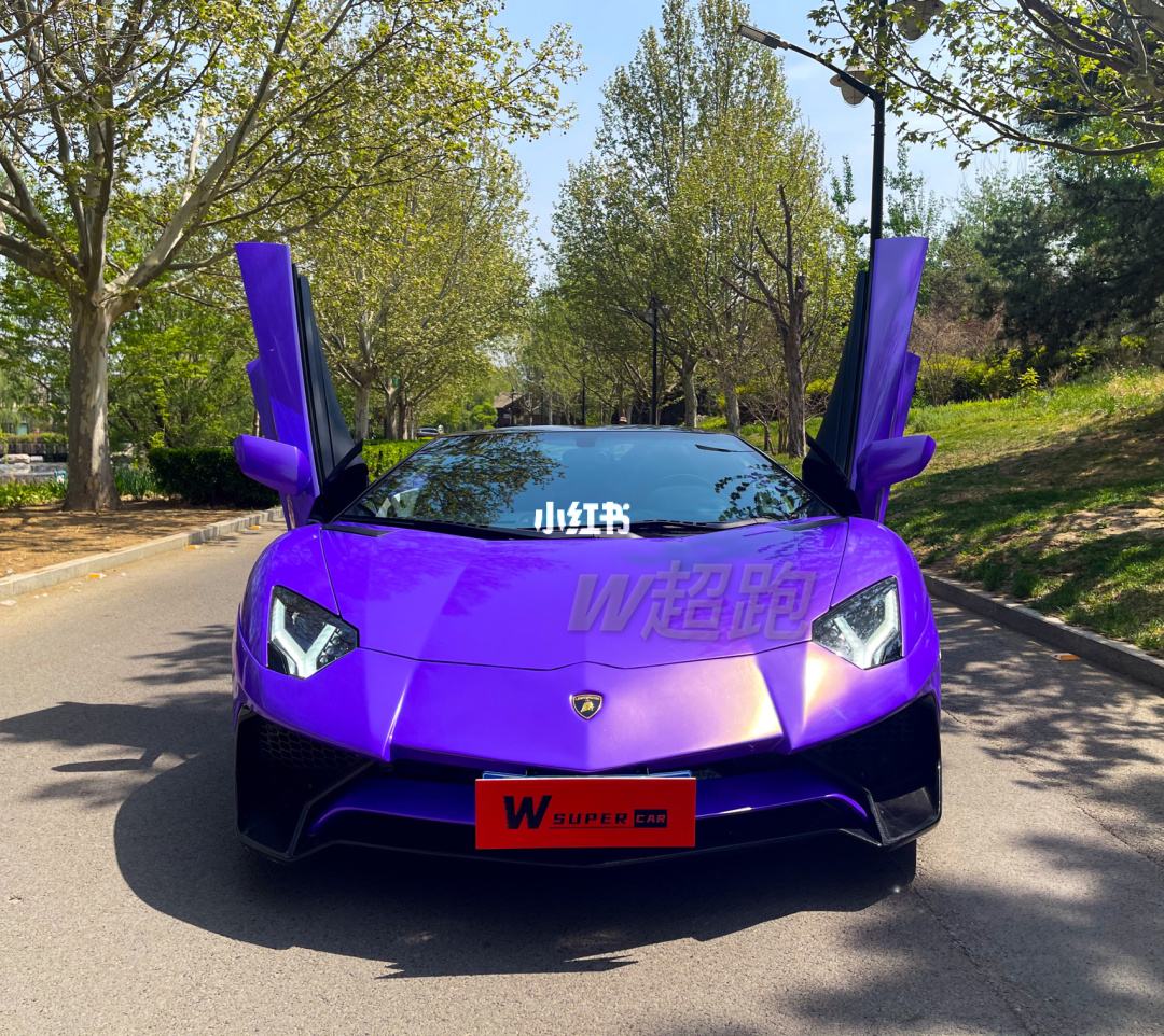 {賭馬}(800万的兰博基尼大牛)